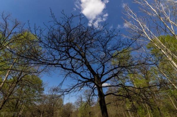 你總會看見幸福 你總會看見幸福