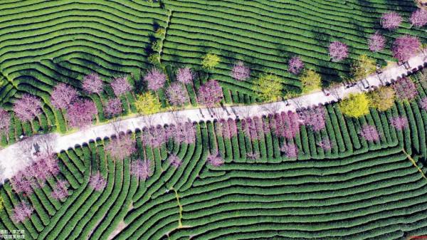 感謝《國家地理》雜誌，讓我們可以看到這麼美得景色