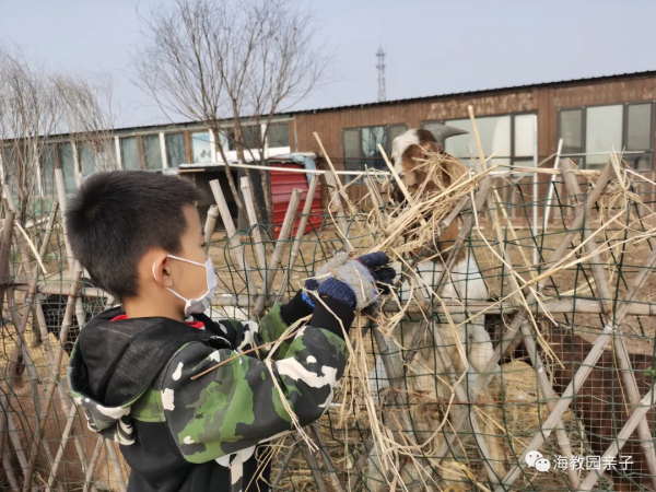 海教園親子走進田間,體驗農事活動,感受糧食豐收的喜悅 海教園親子走進田間,體驗農事活動,感受糧食豐收的喜悅