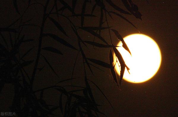 老話說“八月十五看月光,可知來年荒不荒”為何意?怎樣看月光? 老話說“八月十五看月光,可知來年荒不荒”為何意?怎樣看月光?