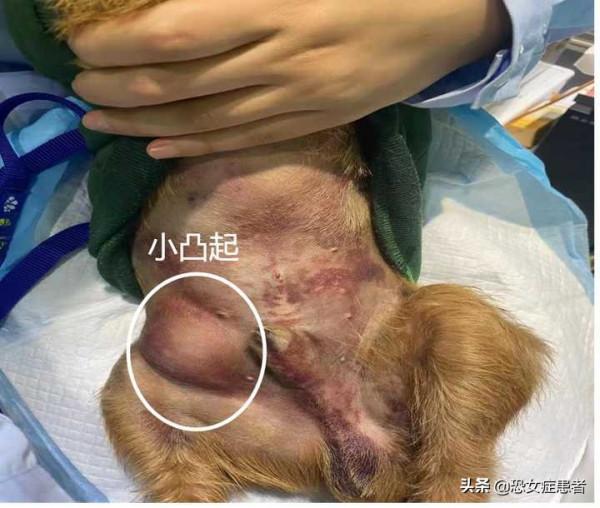 真實毒糧案例，淤血，發紺，無法站立，你不知道的毒糧症狀