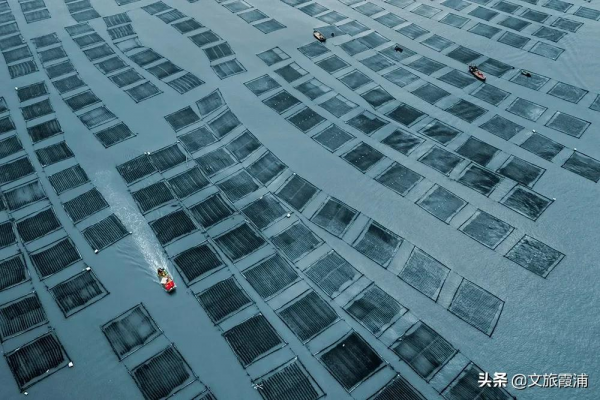 闖入霞浦油畫世界，看落日灘塗