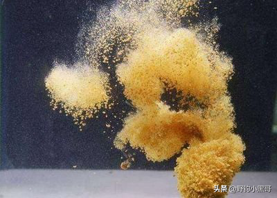 什麼釣魚人必須知道的“六同”和“六不同”解決你的疑難雜症