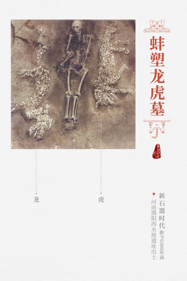 &quot&semi;meng&quot&semi;虎出山，虎年新春帶你看老虎的前世今生