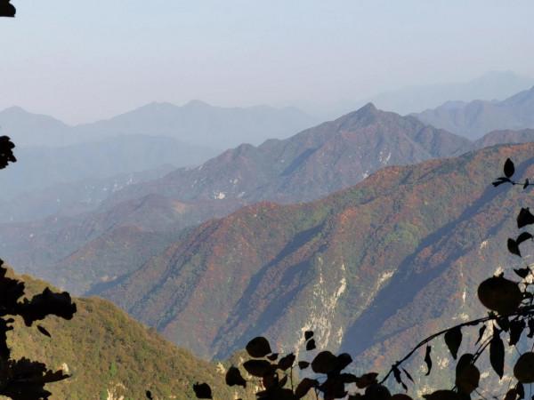 圭峰紅葉遍山,九小時歷程卻讓人驚心 圭峰紅葉遍山,九小時歷程卻讓人驚心