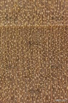 滿滿乾貨！教你如何區分實木傢俱中的硬楓和軟楓（建議收藏）