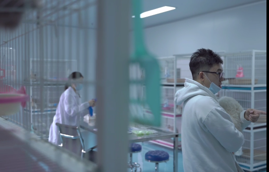 國產貓糧自建工廠和實驗室,經過實驗證明能美毛和幫助消化 國產貓糧自建工廠和實驗室,經過實驗證明能美毛和幫助消化