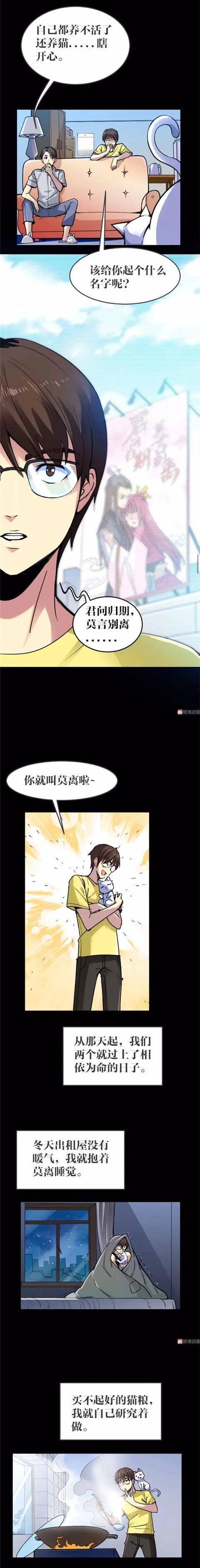 漫畫｜人性篇：會做飯的網紅貓咪