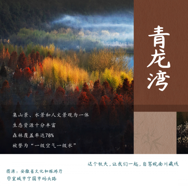 安徽秋色末班車,你趕上了嗎? 安徽秋色末班車,你趕上了嗎?