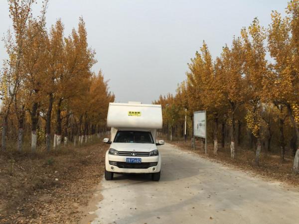 說走就走的金秋越野之旅