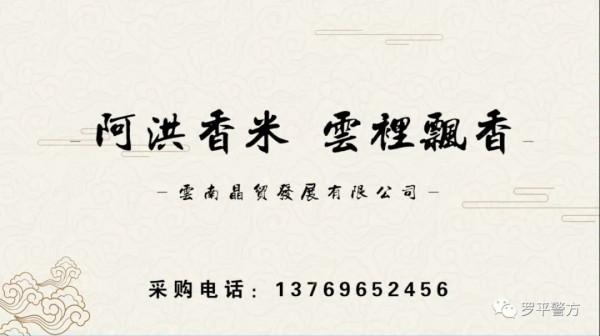 它來自阿洪 它來自阿洪