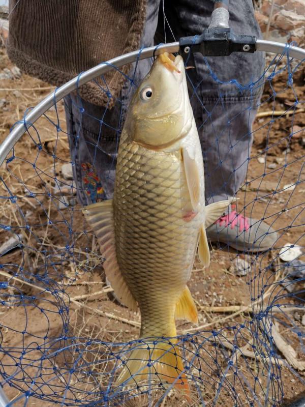 中秋守釣慎防大物別出錯