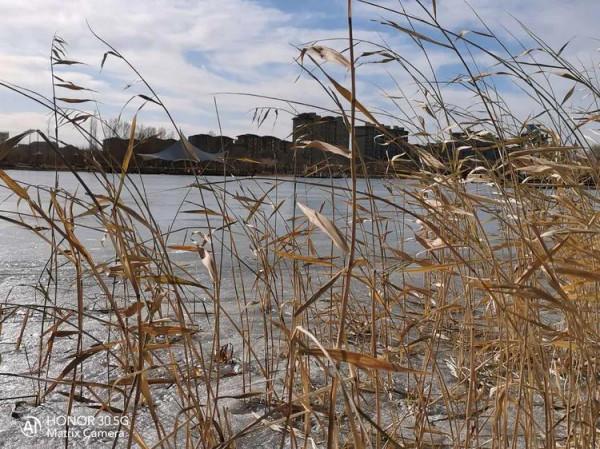 行走如意湖邊，學習十二生肖來歷