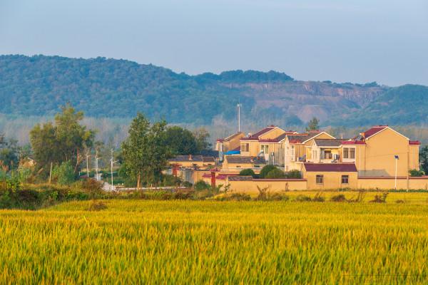 深秋,鄉村晨霧 深秋,鄉村晨霧