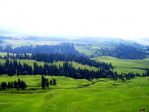 分享圖片——新疆那拉提草原