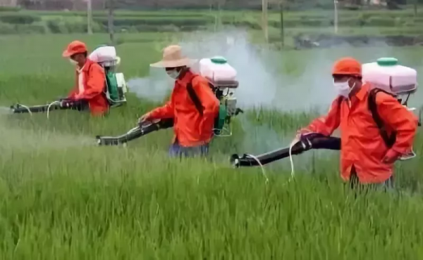 用藥常見的誤區及施藥注意事項