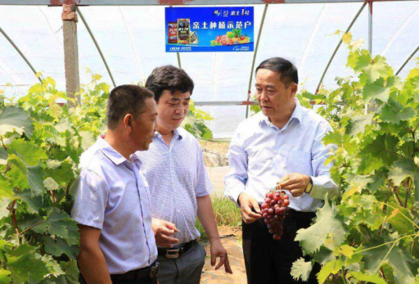 中國&OpenCurlyDoubleQuote;複合肥大王&rdquo;隕落：4年造假231億，堪稱&OpenCurlyDoubleQuote;第二個樂視&rdquo;