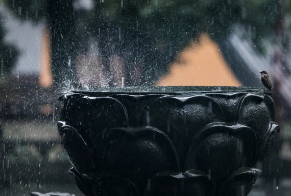 曾因發明地動儀社死,也因寫“性”詩名氣大漲,張衡一生這麼有趣 曾因發明地動儀社死,也因寫“性”詩名氣大漲,張衡一生這麼有趣