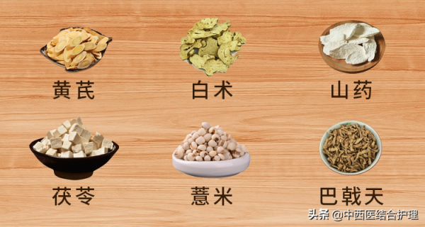 「護腎科普」護腎延衰，重在醫和養，功在補虛和堵漏