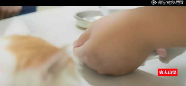 歐陽娜娜連辦3場葬禮哭上熱搜!網友破防了:這樣的告別我沒想過 歐陽娜娜連辦3場葬禮哭上熱搜!網友破防了:這樣的告別我沒想過