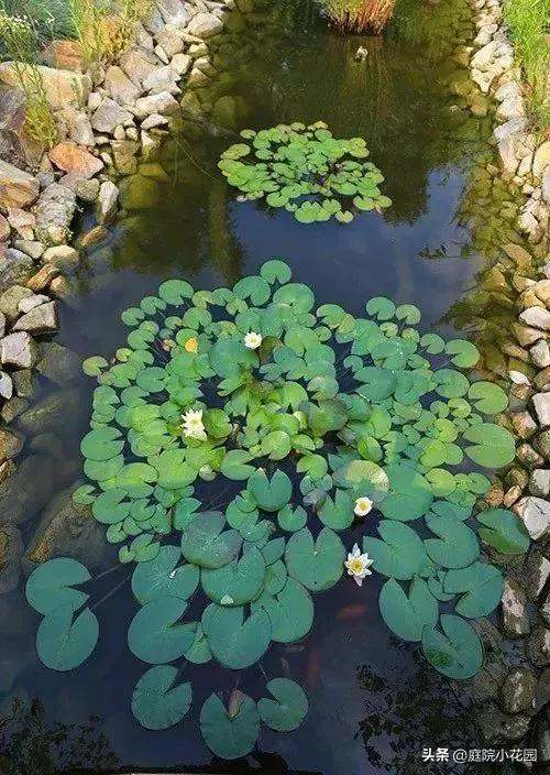 他賣掉城裡的房子，包了個山頭，打造集裝箱陽光房、小木屋、花園