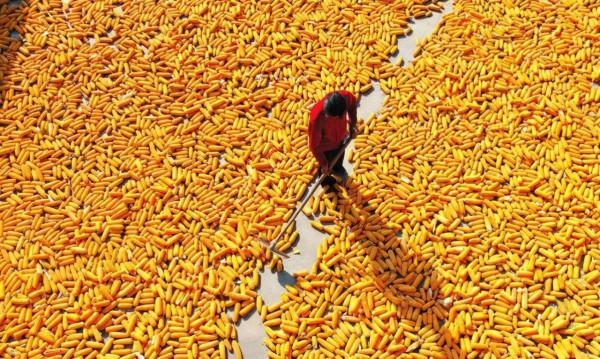 新農村建設或許會造成巨大的浪費,合村並居才是出路 新農村建設或許會造成巨大的浪費,合村並居才是出路