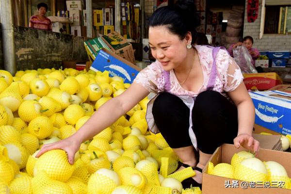 只要一碗淘米水，不花一分錢！黃瓜，西瓜結得多，吃不完，都羨慕