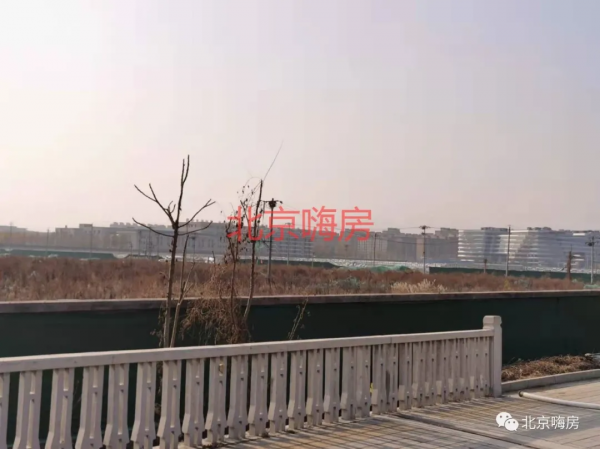 進圈海淀碼農就要先搶房