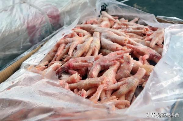 我國每年消費200多億隻雞爪，市場源源不斷的雞爪是從哪裡來的？