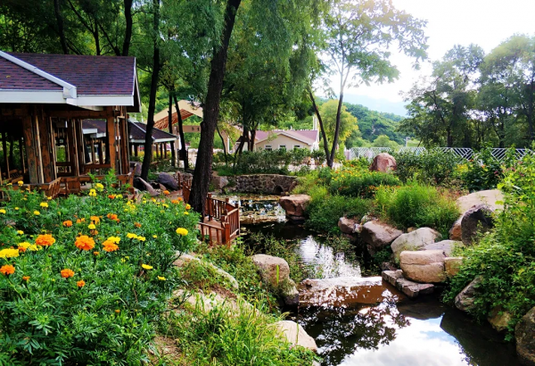 北京喇叭溝原始森林景區將於11月8號閉園 來年4月我們相約杜鵑花海 北京喇叭溝原始森林景區將於11月8號閉園 來年4月我們相約杜鵑花海