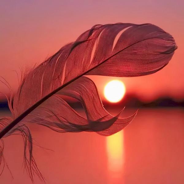 新公學:宇宙的法則 新公學:宇宙的法則