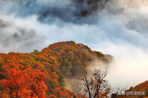 安徽秋遊,五個自駕推薦地|去趕赴秋天的盛會 安徽秋遊,五個自駕推薦地|去趕赴秋天的盛會