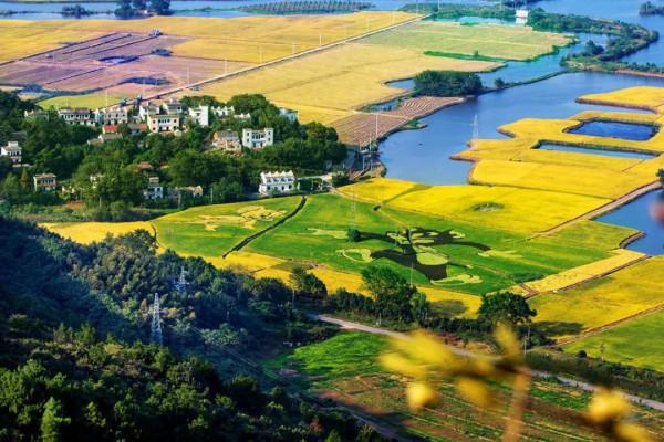 “安徽第二城”，這一次真的要起飛了