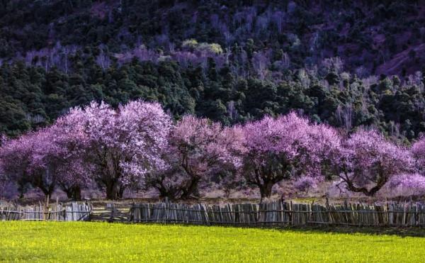 2021年國內旅行時間表出爐！承包你一整年的旅行