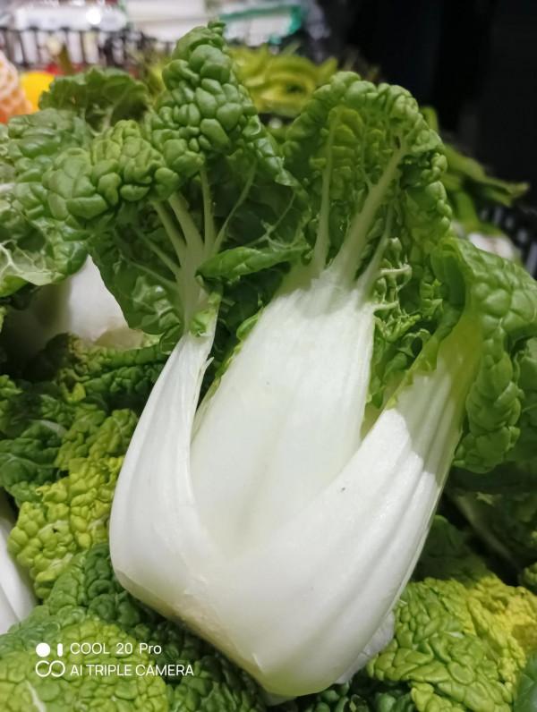 深度體驗cool 20pro拍照技術 深度體驗cool 20pro拍照技術