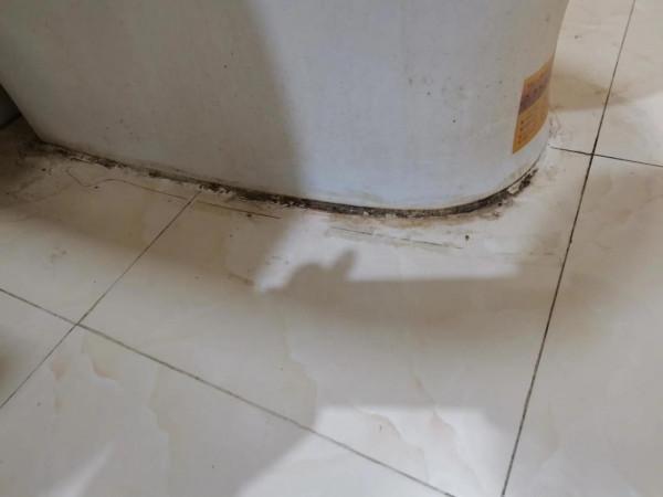 不要再&OpenCurlyDoubleQuote;崇洋媚外&rdquo;了，這些國貨好物，個個都有真本事