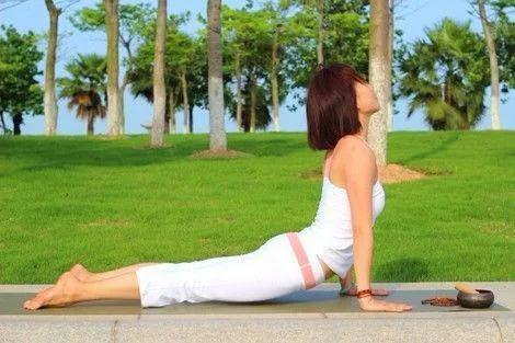 瑜伽的體式 瑜伽的體式