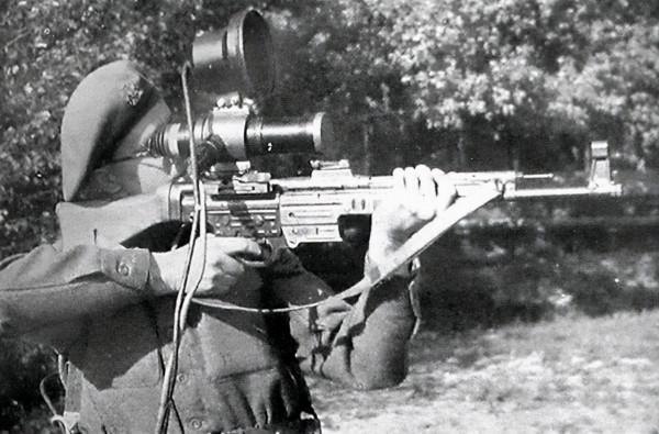 30張罕見的照片，袋鼠在雪地中瘋狂亂跑，老鼠們纏在一起變成鼠王