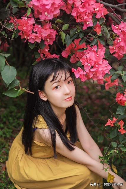 6種北方不適合養的花卉，環境、技術不到位容易死