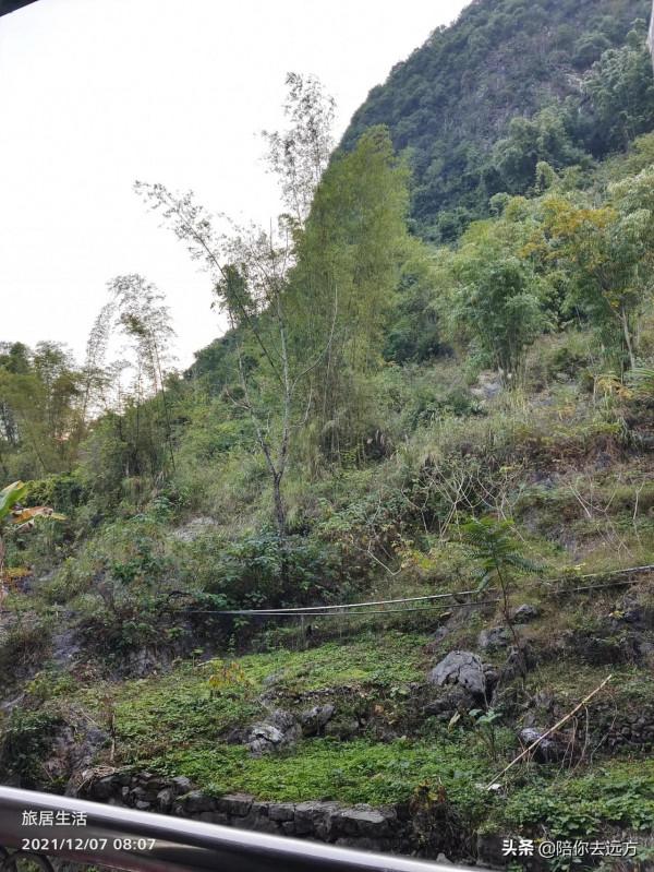 旅居D4-住在長壽鄉