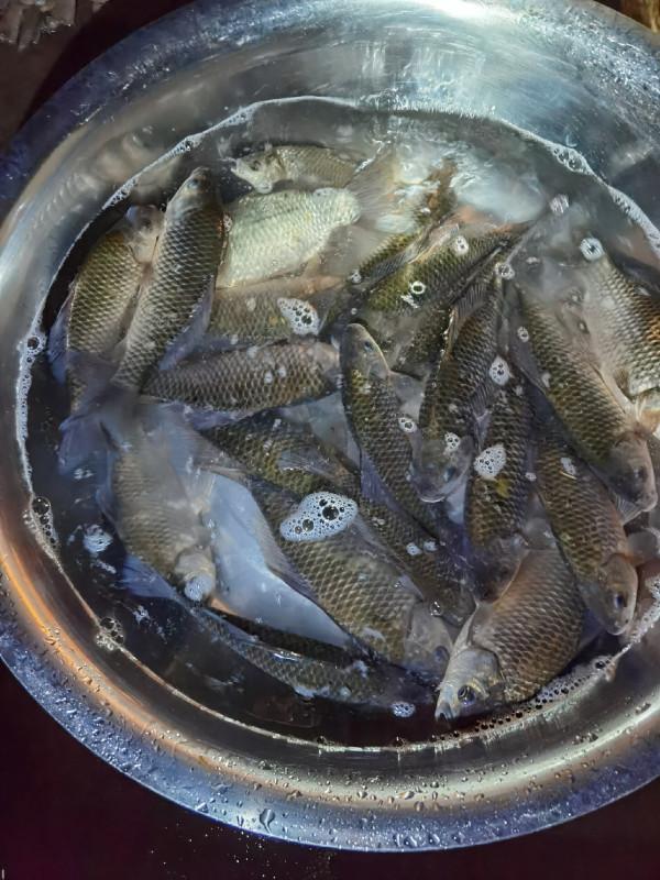 官莊水庫野釣爆護之旅,看看大師如何使用者實踐來證明 官莊水庫野釣爆護之旅,看看大師如何使用者實踐來證明