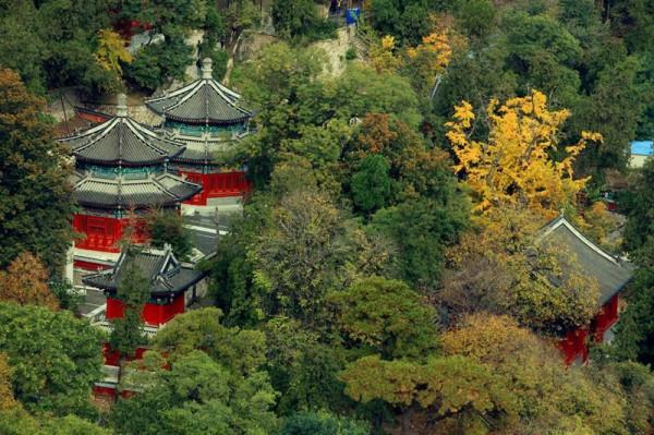 1949年葉劍英提議,中央機關設立在中南海,毛澤東為何不同意? 1949年葉劍英提議,中央機關設立在中南海,毛澤東為何不同意?