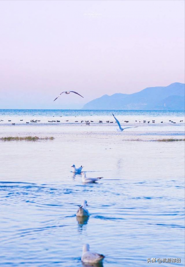這幾個愈秋愈美的小眾旅行地，錯過只能再等一年