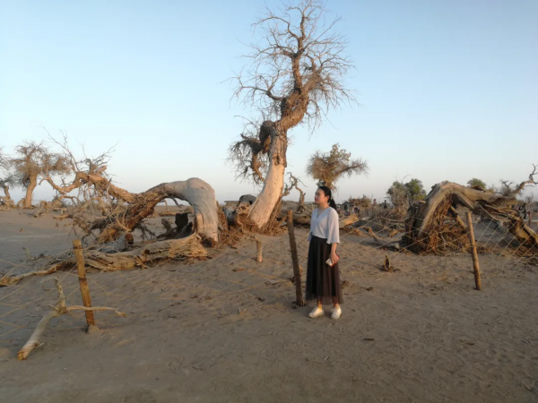 額濟納最全旅遊攻略，怎麼前往最方便？