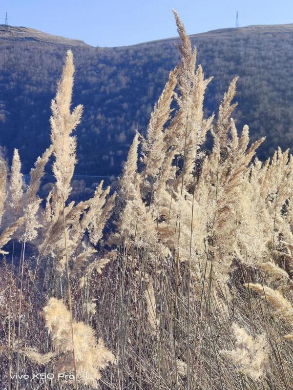 一路走來一路拍，只是想把美景分享給朋友們