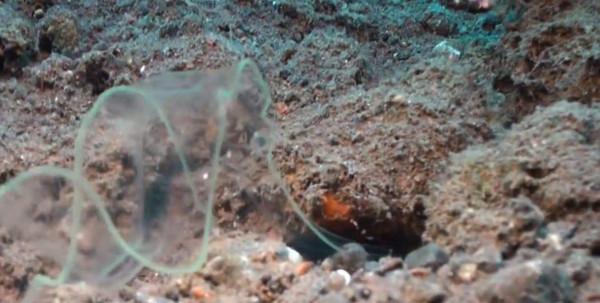 釣魚時遇到這種情況,滿以為魚情不錯,最後卻漁獲慘淡 釣魚時遇到這種情況,滿以為魚情不錯,最後卻漁獲慘淡