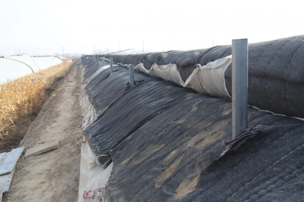 甘肅日光溫室探秘！哪種牆體和骨架最“流行”？哪種造價最划算？