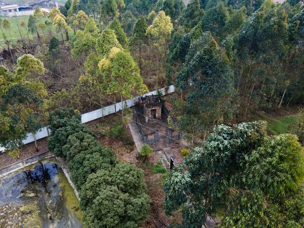 四川二十座漢闕 每座都是中國古代建築的“活化石”