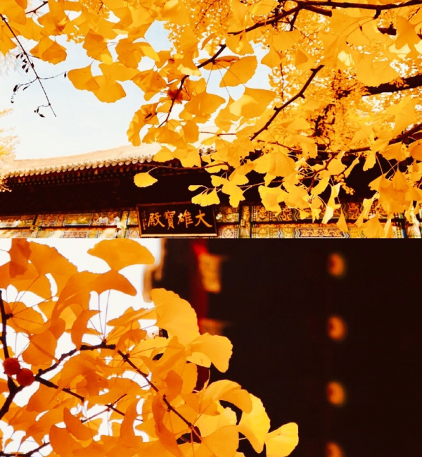 北京求姻緣很靈驗的寺廟，距今已有1600年，每年吸引無數單身遊客