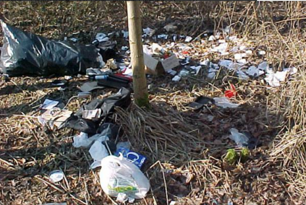 踩點兩年,突破世界最安全金庫,偷竊一億美元鑽石,他為何會被抓 踩點兩年,突破世界最安全金庫,偷竊一億美元鑽石,他為何會被抓